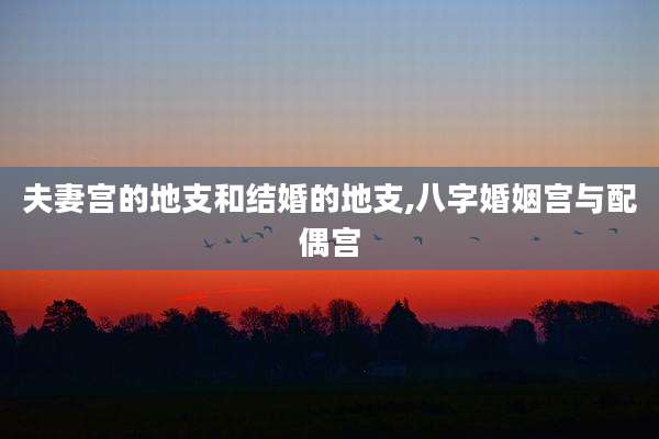 夫妻宫的地支和结婚的地支,八字婚姻宫与配偶宫