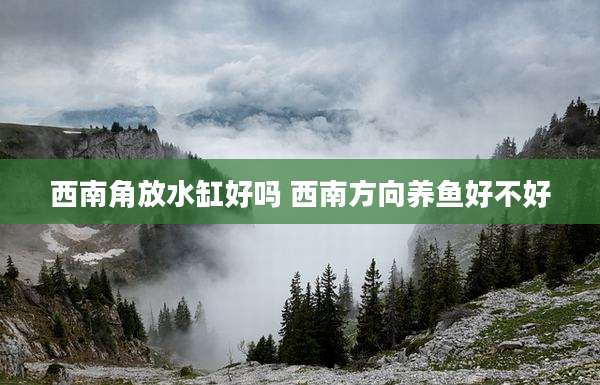 西南角放水缸好吗 西南方向养鱼好不好