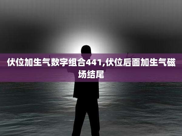 伏位加生气数字组合441,伏位后面加生气磁场结尾