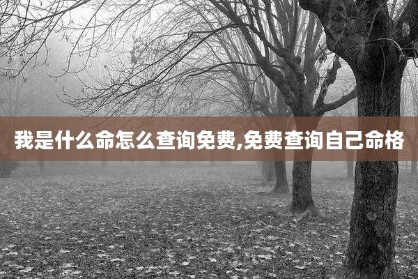 我是什么命怎么查询免费,免费查询自己命格