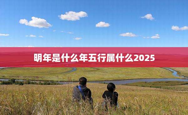 明年是什么年五行属什么2025