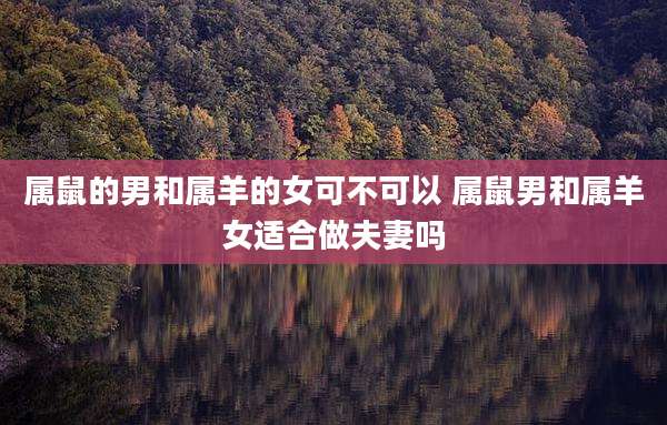 属鼠的男和属羊的女可不可以 属鼠男和属羊女适合做夫妻吗