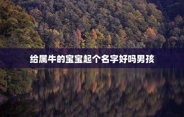 给属牛的宝宝起个名字好吗男孩