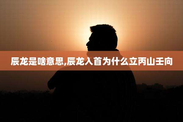 辰龙是啥意思,辰龙入首为什么立丙山壬向