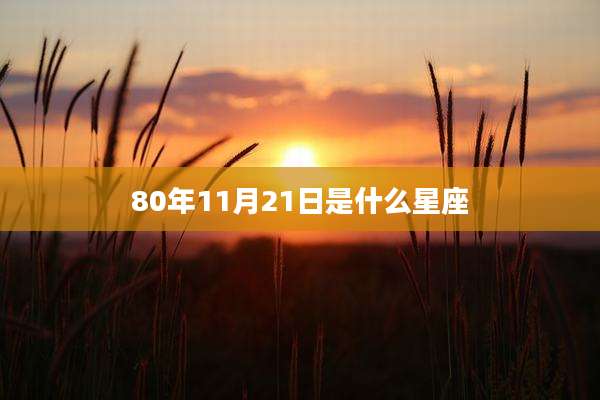 80年11月21日是什么星座