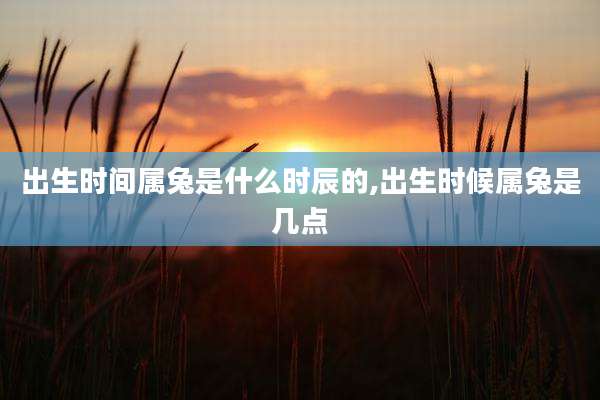 出生时间属兔是什么时辰的,出生时候属兔是几点