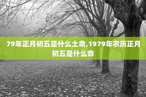 79年正月初五是什么土命,1979年农历正月初五是什么命