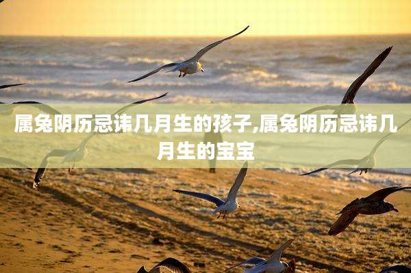 属兔阴历忌讳几月生的孩子,属兔阴历忌讳几月生的宝宝