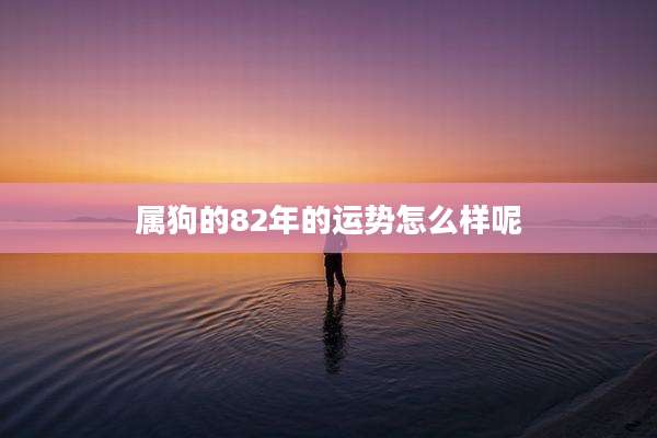 属狗的82年的运势怎么样呢