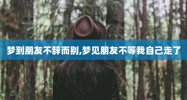 梦到朋友不辞而别,梦见朋友不等我自己走了
