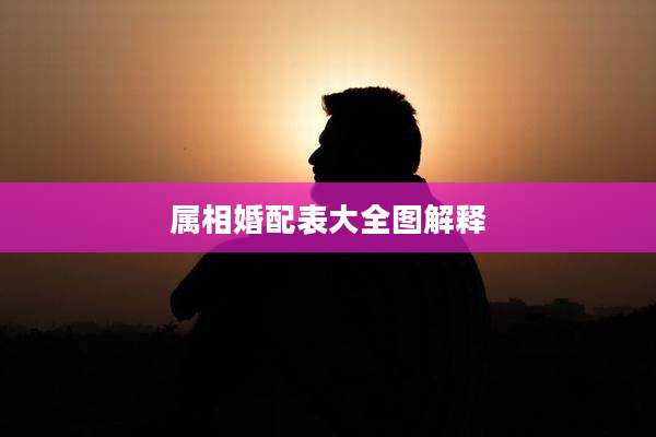 属相婚配表大全图解释