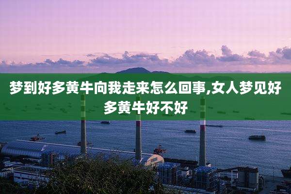 梦到好多黄牛向我走来怎么回事,女人梦见好多黄牛好不好