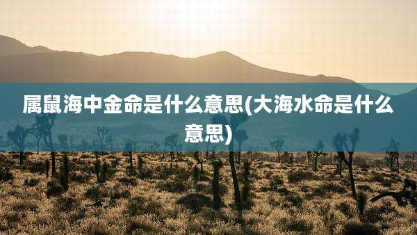 属鼠海中金命是什么意思(大海水命是什么意思)