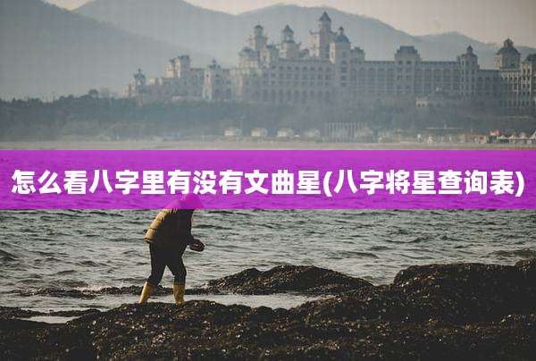怎么看八字里有没有文曲星(八字将星查询表)