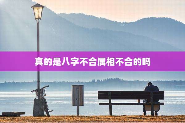 真的是八字不合属相不合的吗