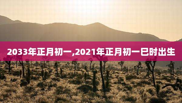 2033年正月初一,2021年正月初一巳时出生