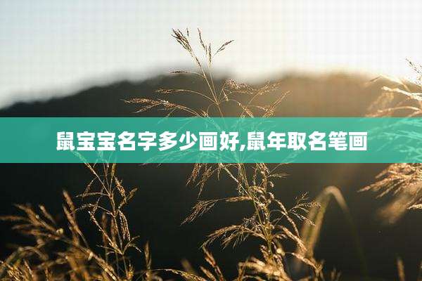 鼠宝宝名字多少画好,鼠年取名笔画