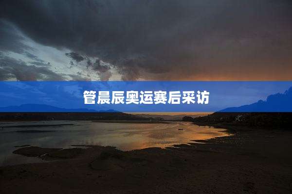 管晨辰奥运赛后采访