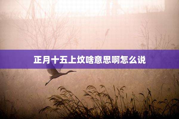 正月十五上坟啥意思啊怎么说