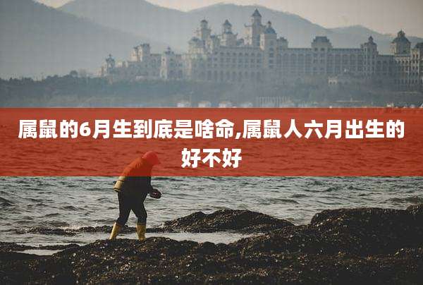 属鼠的6月生到底是啥命,属鼠人六月出生的好不好