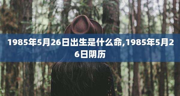1985年5月26日出生是什么命,1985年5月26日阴历