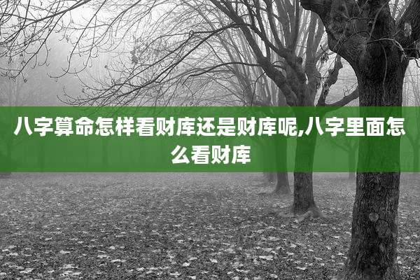 八字算命怎样看财库还是财库呢,八字里面怎么看财库