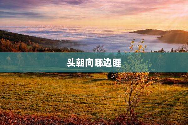 头朝向哪边睡