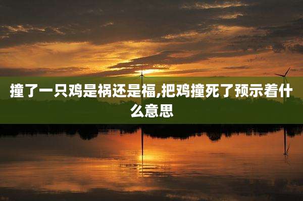 撞了一只鸡是祸还是福,把鸡撞死了预示着什么意思