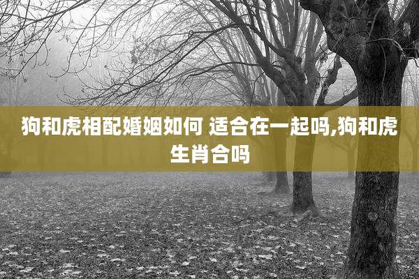 狗和虎相配婚姻如何 适合在一起吗,狗和虎生肖合吗