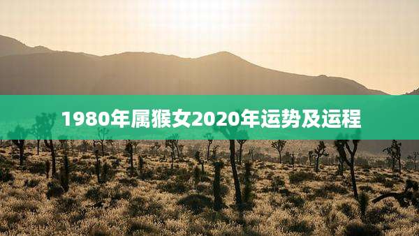 1980年属猴女2020年运势及运程