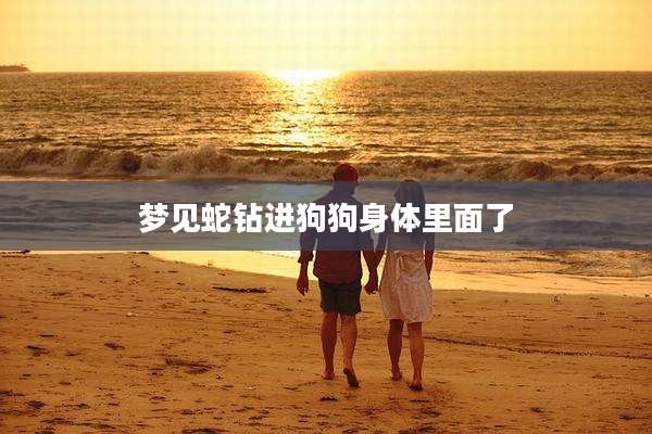 梦见蛇钻进狗狗身体里面了