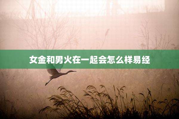 女金和男火在一起会怎么样易经