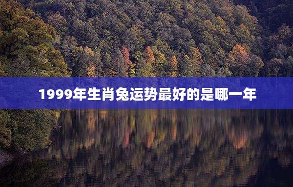 1999年生肖兔运势最好的是哪一年
