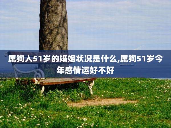 属狗人51岁的婚姻状况是什么,属狗51岁今年感情运好不好