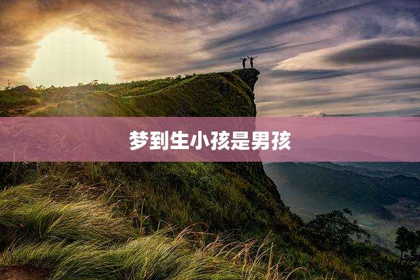 梦到生小孩是男孩