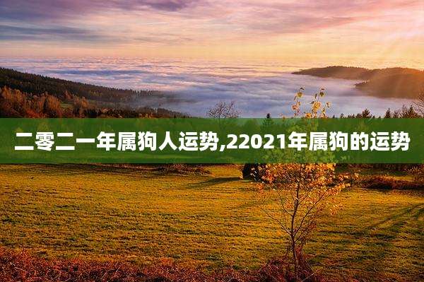 二零二一年属狗人运势,22021年属狗的运势