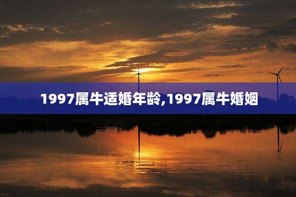1997属牛适婚年龄,1997属牛婚姻