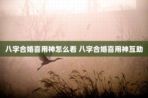 八字合婚喜用神怎么看 八字合婚喜用神互助