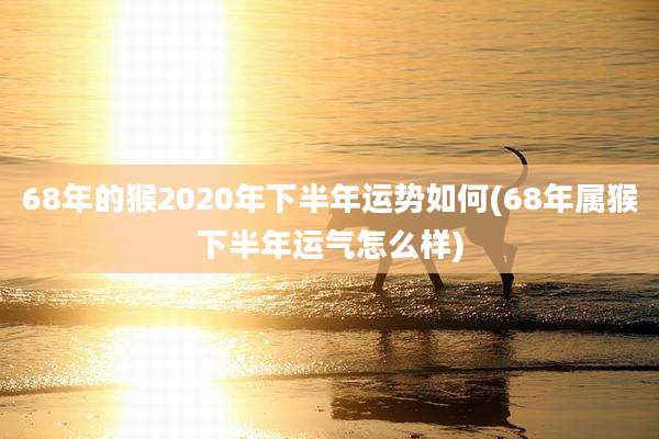 68年的猴2020年下半年运势如何(68年属猴下半年运气怎么样)