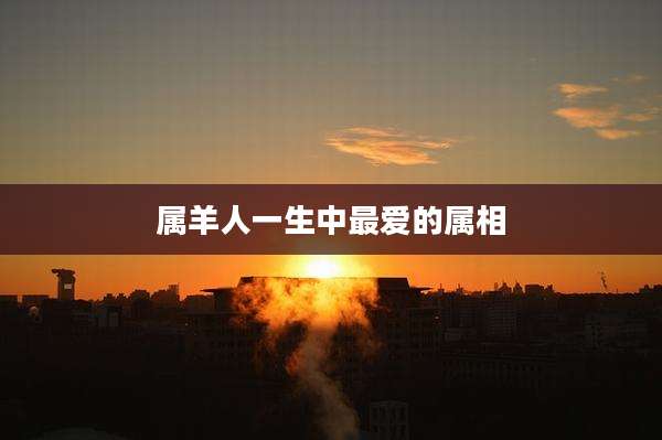属羊人一生中最爱的属相