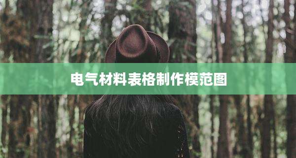 电气材料表格制作模范图