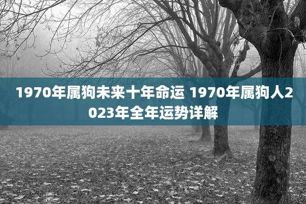 1970年属狗未来十年命运 1970年属狗人2023年全年运势详解