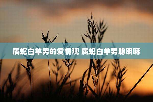 属蛇白羊男的爱情观 属蛇白羊男聪明嘛
