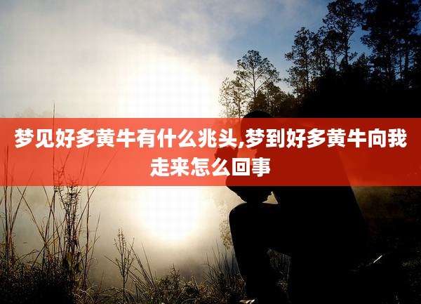 梦见好多黄牛有什么兆头,梦到好多黄牛向我走来怎么回事