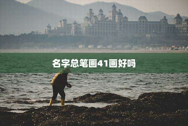 名字总笔画41画好吗