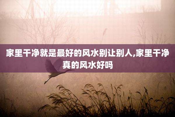 家里干净就是最好的风水别让别人,家里干净真的风水好吗