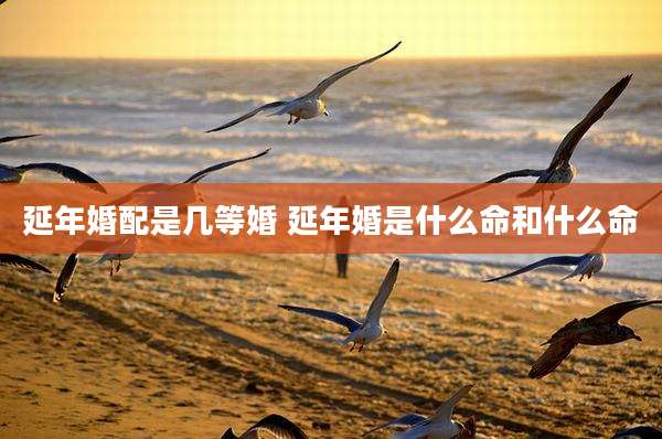 延年婚配是几等婚 延年婚是什么命和什么命