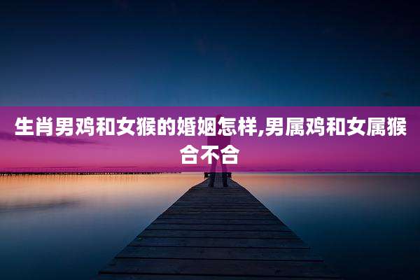 生肖男鸡和女猴的婚姻怎样,男属鸡和女属猴合不合