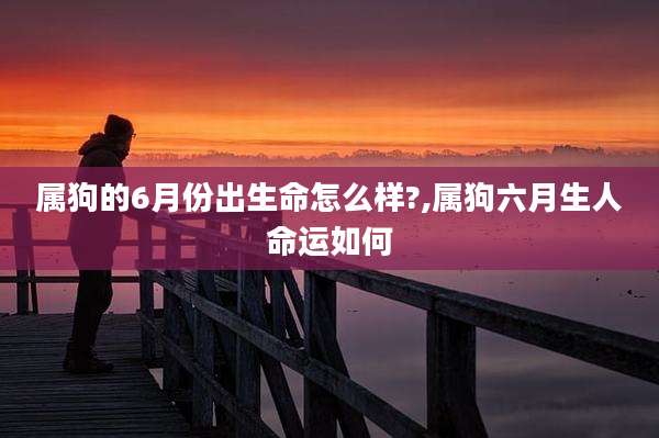 属狗的6月份出生命怎么样?,属狗六月生人命运如何