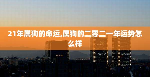 21年属狗的命运,属狗的二零二一年运势怎么样